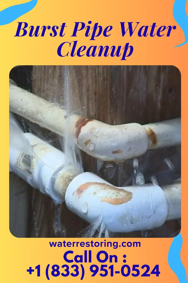 Burst Pipe Water Cleanup in Webberville, TX