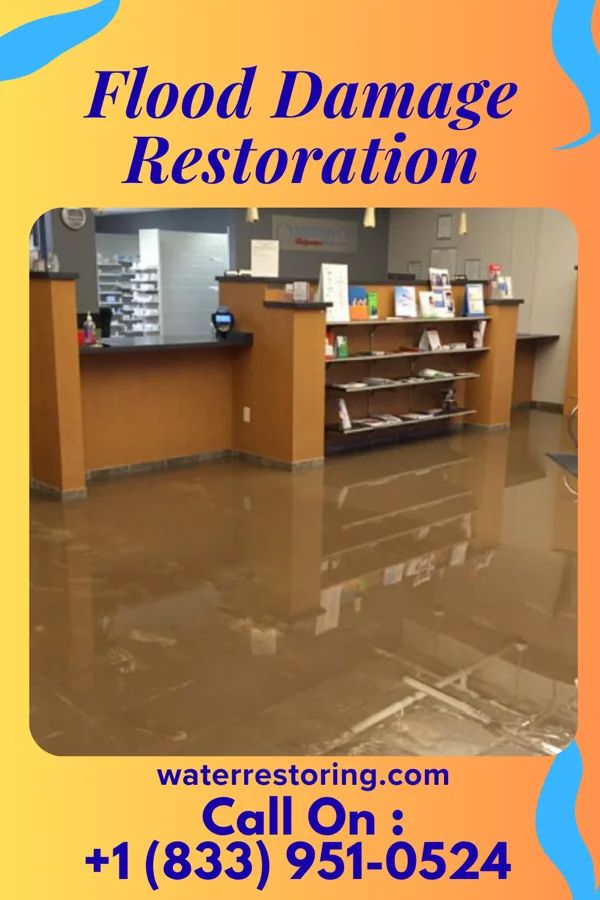 Flood Damage Restoration in Webberville, TX